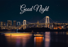 Sweet Good Night Texts for Someone Special
