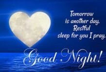 good-night-messages-for-crush