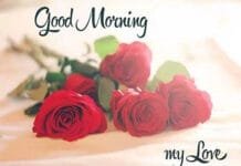 sweet-good-morning-messages-for-him