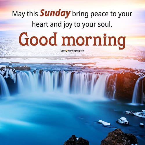 Sunday blessings good morning hotsell